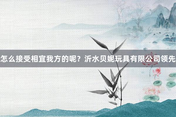 怎么接受相宜我方的呢?沂水贝妮玩具有限公司领先